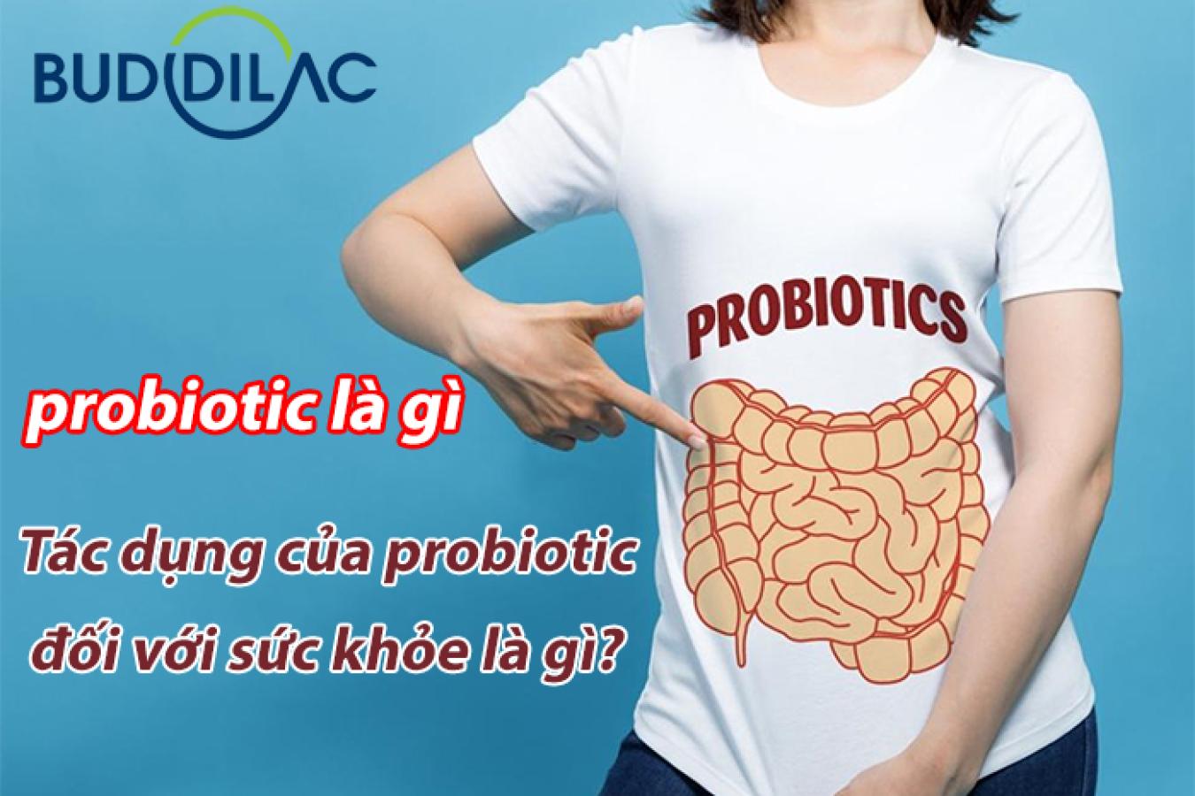 Lợi khuẩn probiotic có tác dụng gì đối với sức khỏe