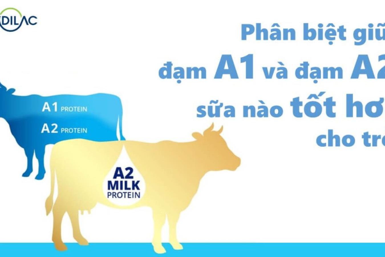 Phân biệt giữa đạm A1 và đạm A2, sữa nào tốt hơn cho trẻ?