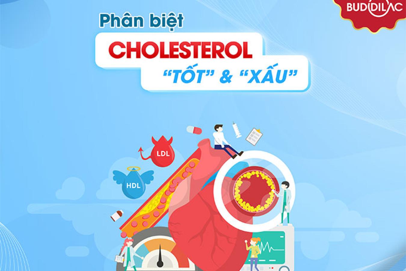 Phân biệt Cholesterol xấu và tốt bạn cần nắm rõ