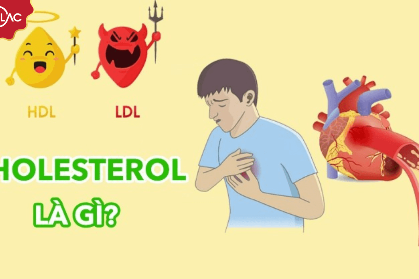 Cholesterol là gì? Những điều bạn cần biết về Cholesterol