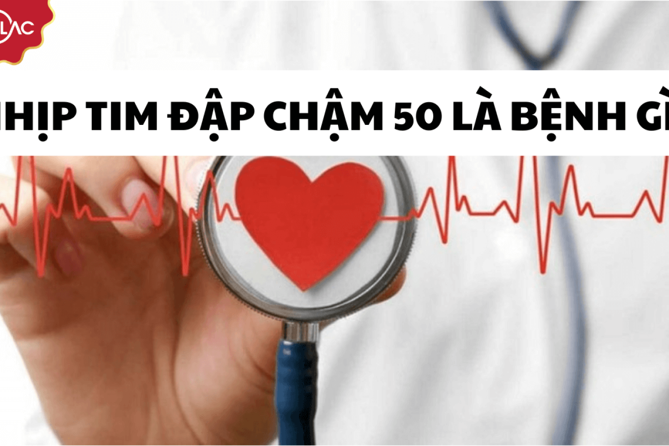 Nhịp tim đập chậm 50 là bệnh gì? Cách điều trị hiệu quả