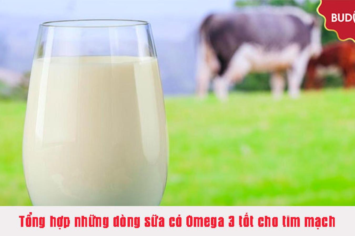 Tổng hợp những dòng sữa có Omega 3 tốt cho tim mạch