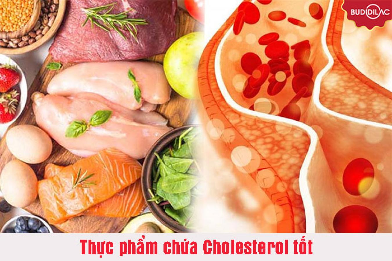 Thực phẩm chứa Cholesterol tốt bạn cần bổ sung vào thực đơn