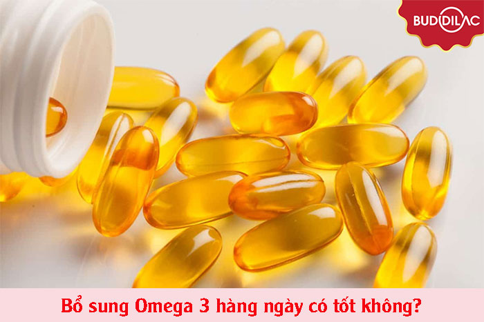 bo-sung-omega-3-hang-ngay