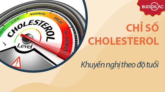 chi-so-cholesterol-cao