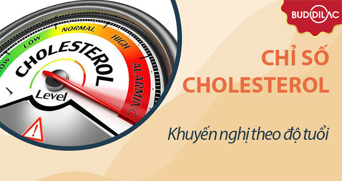 chi-so-cholesterol