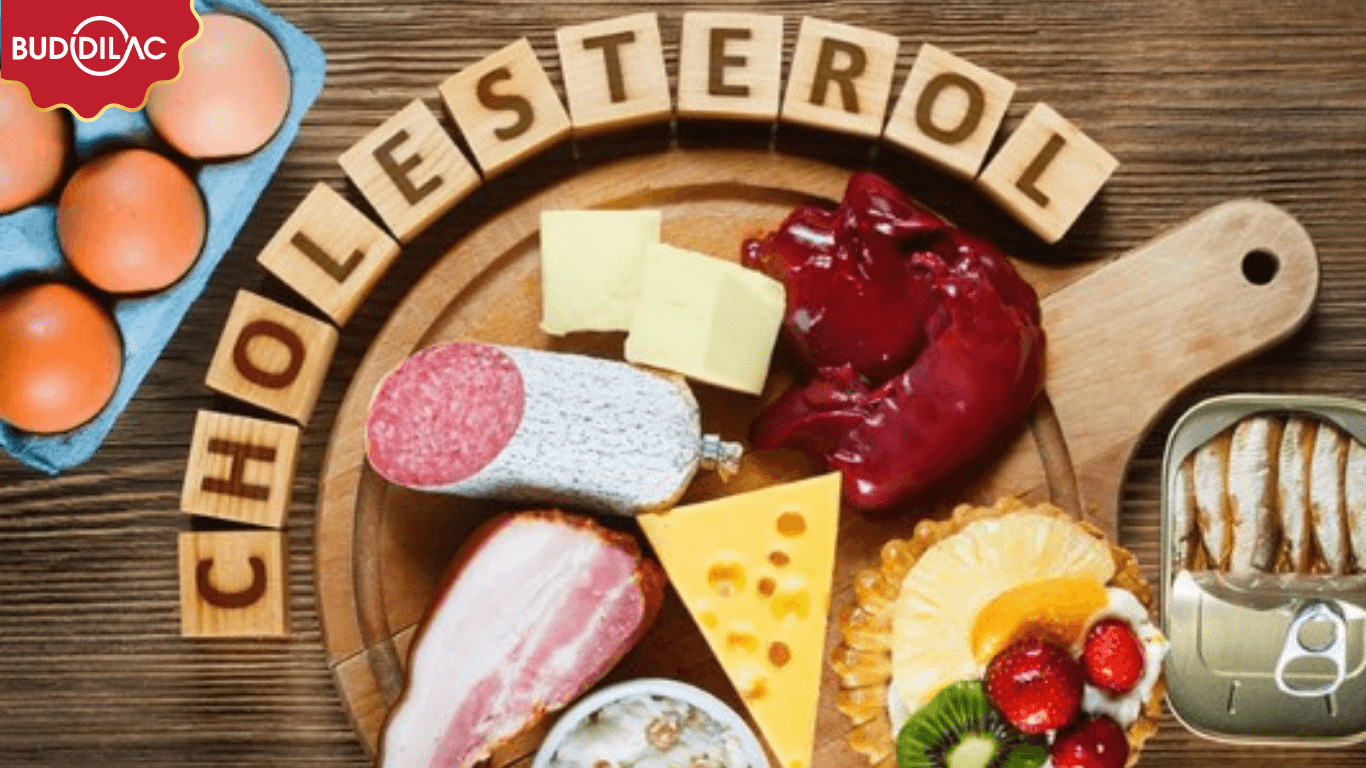 kiem-soat-cholesterol