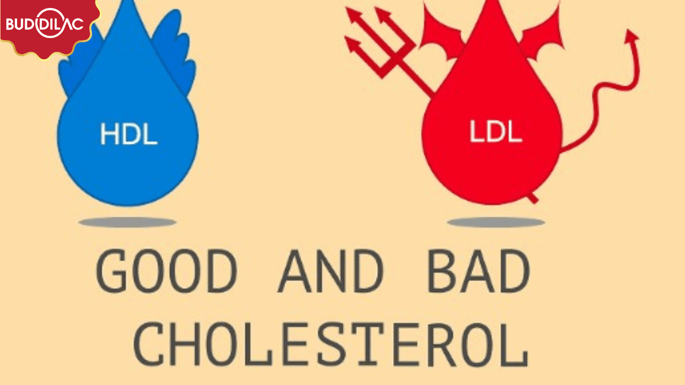 phan loai cholesterol