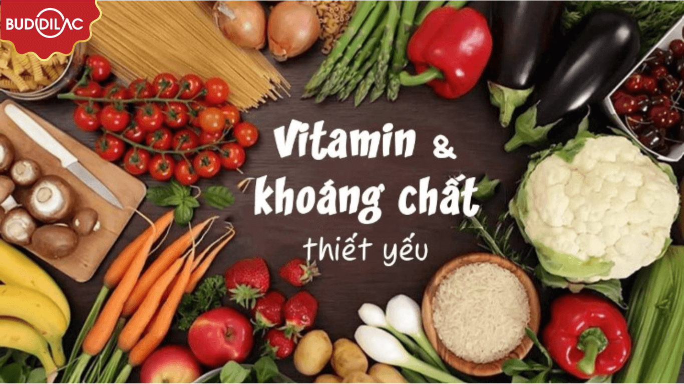 Vitamin va cac khoang chat
